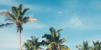 Choosing a Great Snowboarding Resort