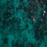 Hen Event Ideas for a Remarkable Chicken Celebration