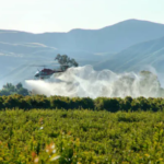 Understanding the Cost of Divorce in Nepal