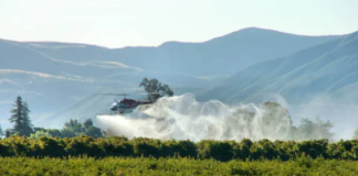 Understanding the Cost of Divorce in Nepal