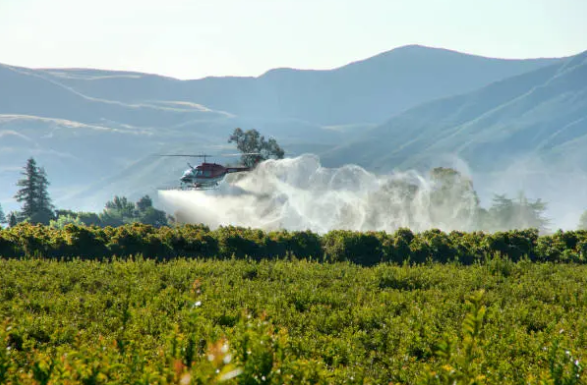 Understanding the Cost of Divorce in Nepal