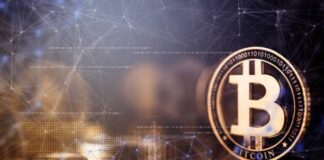 Bitcoin Price and Market Liquidity: What’s the Link?