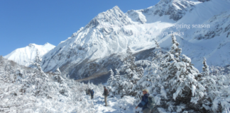 Experience Manaslu: A Complete Circuit Trek Package: