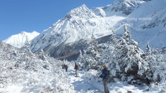 Experience Manaslu: A Complete Circuit Trek Package: