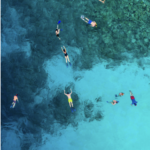 The Ultimate Adventure: The Excitement of Liveaboard Diving and Scuba Diving Experiences on board a ship