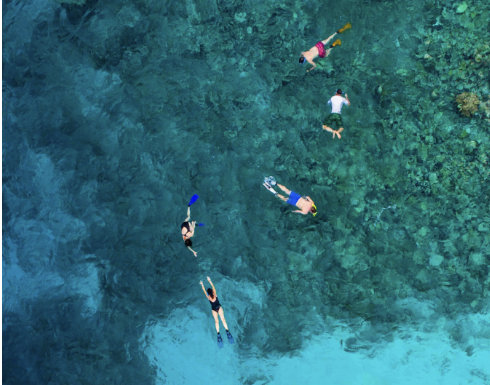 The Ultimate Adventure: The Excitement of Liveaboard Diving and Scuba Diving Experiences on board a ship