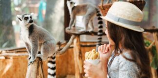 Unlock Adventure at Malaysia’s National Zoo