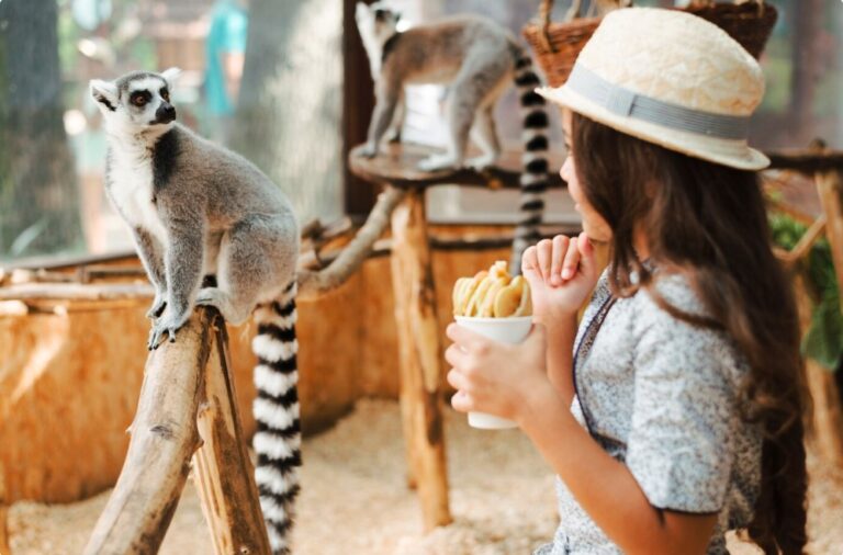 Unlock Adventure at Malaysia’s National Zoo