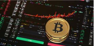 The Impact of USD Strength on Crypto Futures