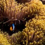 Red Sea Yacht Charters will allow touring the waters of colors.