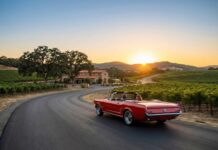 The Ultimate California Road Trip in a Ford Mustang