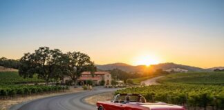 The Ultimate California Road Trip in a Ford Mustang