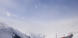 Planning the Perfect Family Trip to Switzerland